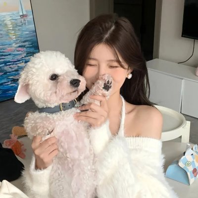拳的较量